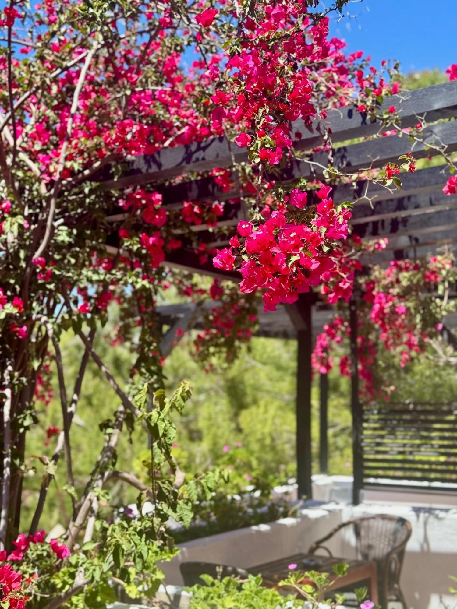 Symbola Oludeniz Beach Hotel Ngoại thất bức ảnh