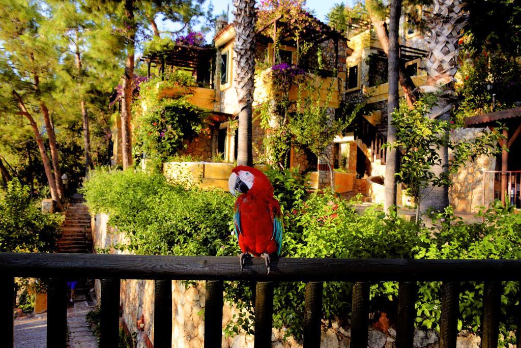 Symbola Oludeniz Beach Hotel Ngoại thất bức ảnh
